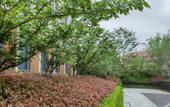 Туры в отель Homeinn Plus Hotel (Ningbo Fenghua Xikou Tengtou Ecological Park) Туры в отель Homeinn Plus Hotel (Ningbo Fenghua Xikou Tengtou Ecological Park)