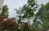 Туры в отель Homeinn Plus Hotel (Ningbo Fenghua Xikou Tengtou Ecological Park) Туры в отель Homeinn Plus Hotel (Ningbo Fenghua Xikou Tengtou Ecological Park)