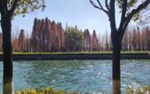 Туры в отель Daguan Jinwan Hotel Туры в отель Daguan Jinwan Hotel