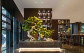 Туры в отель The GiorgioMorandi Hotels (Xuyi Kejie Central Mall) Туры в отель The GiorgioMorandi Hotels (Xuyi Kejie Central Mall)