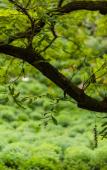 Туры в отель Floral Hotel·Hangzhou Zhuyin Garden Hotel Туры в отель Floral Hotel·Hangzhou Zhuyin Garden Hotel