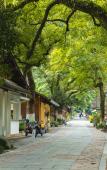 Туры в отель Floral Hotel·Hangzhou Zhuyin Garden Hotel Туры в отель Floral Hotel·Hangzhou Zhuyin Garden Hotel