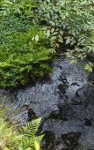 Туры в отель Floral Hotel·Hangzhou Zhuyin Garden Hotel Туры в отель Floral Hotel·Hangzhou Zhuyin Garden Hotel
