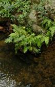 Туры в отель Floral Hotel·Hangzhou Zhuyin Garden Hotel Туры в отель Floral Hotel·Hangzhou Zhuyin Garden Hotel