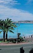 Туры в отель Residence Les Palmiers Туры в отель Residence Les Palmiers