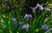 Туры в отель Floral Hotel·Skilled craftsman villa Hotel Туры в отель Floral Hotel·Skilled craftsman villa Hotel