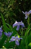 Туры в отель Floral Hotel·Skilled craftsman villa Hotel Туры в отель Floral Hotel·Skilled craftsman villa Hotel