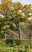 Туры в отель Floral Hotel·Skilled craftsman villa Hotel Туры в отель Floral Hotel·Skilled craftsman villa Hotel