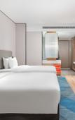 Туры в отель Holiday Inn Express Bazhong Center by IHG Туры в отель Holiday Inn Express Bazhong Center by IHG