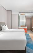 Туры в отель Holiday Inn Express Bazhong Center by IHG Туры в отель Holiday Inn Express Bazhong Center by IHG