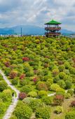 Туры в отель Qianhuazhou Holiday Hotel Туры в отель Qianhuazhou Holiday Hotel