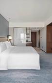 Туры в отель Grand New Century Hotel Linan Hangzhou Туры в отель Grand New Century Hotel Linan Hangzhou