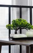 Туры в отель Lichen Jundun Hotel (Jinan West Railway Station International Convention and Exhibition Center) Туры в отель Lichen Jundun Hotel (Jinan West Railway Station International Convention and Exhibition Center)