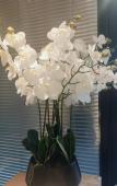 Туры в отель Homeinn · neo (Tongxiang Tudian Tuxing North Road) Туры в отель Homeinn · neo (Tongxiang Tudian Tuxing North Road)