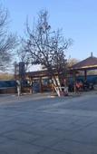 Туры в отель Home Inn Huaxuan Select Hotel (Beijing Dujiakanyuan Boyuan Branch) Туры в отель Home Inn Huaxuan Select Hotel (Beijing Dujiakanyuan Boyuan Branch)