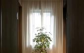 Туры в отель Homeinn · neo (Ziyang Lezhi Wenmiao Street) Туры в отель Homeinn · neo (Ziyang Lezhi Wenmiao Street)