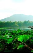 Туры в отель Homeinn Plus Hotel (Hangzhou Xihu Lakeside Broken Bridge Scenic Area Baoshi Road) Туры в отель Homeinn Plus Hotel (Hangzhou Xihu Lakeside Broken Bridge Scenic Area Baoshi Road)