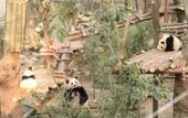 Туры в отель Homeinn Selected Hotel (Chengdu Jinniu Wanda Hepingchi) Туры в отель Homeinn Selected Hotel (Chengdu Jinniu Wanda Hepingchi)