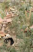 Туры в отель Homeinn Selected Hotel (Chengdu Jinniu Wanda Hepingchi) Туры в отель Homeinn Selected Hotel (Chengdu Jinniu Wanda Hepingchi)