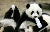 Туры в отель Homeinn Selected Hotel (Chengdu Jinniu Wanda Hepingchi) Туры в отель Homeinn Selected Hotel (Chengdu Jinniu Wanda Hepingchi)