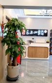 Туры в отель Rujia Fairyland Homestay (Jiexiu Railway Station) Туры в отель Rujia Fairyland Homestay (Jiexiu Railway Station)