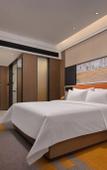 Туры в отель Hampton by Hilton Fengcheng Туры в отель Hampton by Hilton Fengcheng