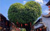 Туры в отель Superior Hotel (Fuzhou Railway Station) Туры в отель Superior Hotel (Fuzhou Railway Station)