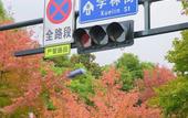 Туры в отель Homeinn Plus Hotel (Hangzhou Xiasha University City Gaosha Road Subway Station) Туры в отель Homeinn Plus Hotel (Hangzhou Xiasha University City Gaosha Road Subway Station)