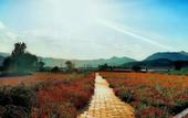 Туры в отель Home Inn UP Huaxuan Collection Hotel (Shijiazhuang Luquan Jinfeng Industrial Park) Туры в отель Home Inn UP Huaxuan Collection Hotel (Shijiazhuang Luquan Jinfeng Industrial Park)