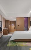 Туры в отель Hampton by Hilton Shenzhen Longhua Qinghu Туры в отель Hampton by Hilton Shenzhen Longhua Qinghu