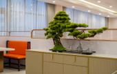Туры в отель Rongcheng Rezen Manhu Hotel (Rongcheng Station) Туры в отель Rongcheng Rezen Manhu Hotel (Rongcheng Station)