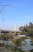 Туры в отель Xinyi Jinjiang Metropolo Hotel Туры в отель Xinyi Jinjiang Metropolo Hotel