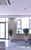 Туры в отель Home Inn Huaxuan Collection Hotel (Zhangqiu Mingshui Xiushui Street) Туры в отель Home Inn Huaxuan Collection Hotel (Zhangqiu Mingshui Xiushui Street)