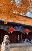 Туры в отель Homeinn Plus Hotel (Taiyuan Ancient County Jinci Temple Scenic Area) Туры в отель Homeinn Plus Hotel (Taiyuan Ancient County Jinci Temple Scenic Area)