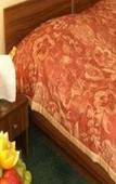 Туры в отель Magnolia Туры в отель Magnolia