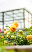 Туры в отель Floral Hotel·Zhujiajian Lianglu Hotel Туры в отель Floral Hotel·Zhujiajian Lianglu Hotel