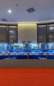 Туры в отель Rezen Hotel Sailing Seascape Туры в отель Rezen Hotel Sailing Seascape