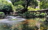 Туры в отель Shankee Coffee Style (Foshan Shunde Qinghuiyuan) Туры в отель Shankee Coffee Style (Foshan Shunde Qinghuiyuan)