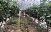 Туры в отель Jieyou Guesthouse Туры в отель Jieyou Guesthouse