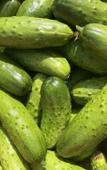 Туры в отель Jieyou Guesthouse Туры в отель Jieyou Guesthouse
