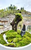 Туры в отель Landison Hotel Sanqing Moutain Туры в отель Landison Hotel Sanqing Moutain