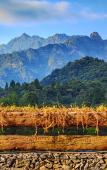 Туры в отель Landison Hotel Sanqing Moutain Туры в отель Landison Hotel Sanqing Moutain