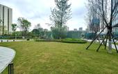 Туры в отель Chengdu Mandao Hotel (Jinniu Wanda Branch) Туры в отель Chengdu Mandao Hotel (Jinniu Wanda Branch)
