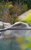Туры в отель FUZHOU ROYAL HOT SPRING HOTEL & RESORT Туры в отель FUZHOU ROYAL HOT SPRING HOTEL & RESORT