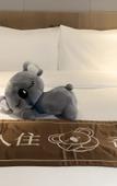 Туры в отель The COLI Hotel Jinan Туры в отель The COLI Hotel Jinan
