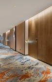 Туры в отель DeRucci Healthy Sleep Hotel (Buji Culture and Sports Center, Shenzhen East Railway Station Branch)) Туры в отель DeRucci Healthy Sleep Hotel (Buji Culture and Sports Center, Shenzhen East Railway Station Branch))