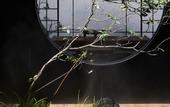 Туры в отель Mehood elegant Hotel Туры в отель Mehood elegant Hotel