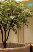 Туры в отель Wuyi Kaiyuan Guantang Hotel Туры в отель Wuyi Kaiyuan Guantang Hotel