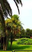 Туры в отель Majesty Hotel Bari Туры в отель Majesty Hotel Bari