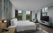 Туры в отель Holiday Inn Chongqing Science Hall by IHG Туры в отель Holiday Inn Chongqing Science Hall by IHG